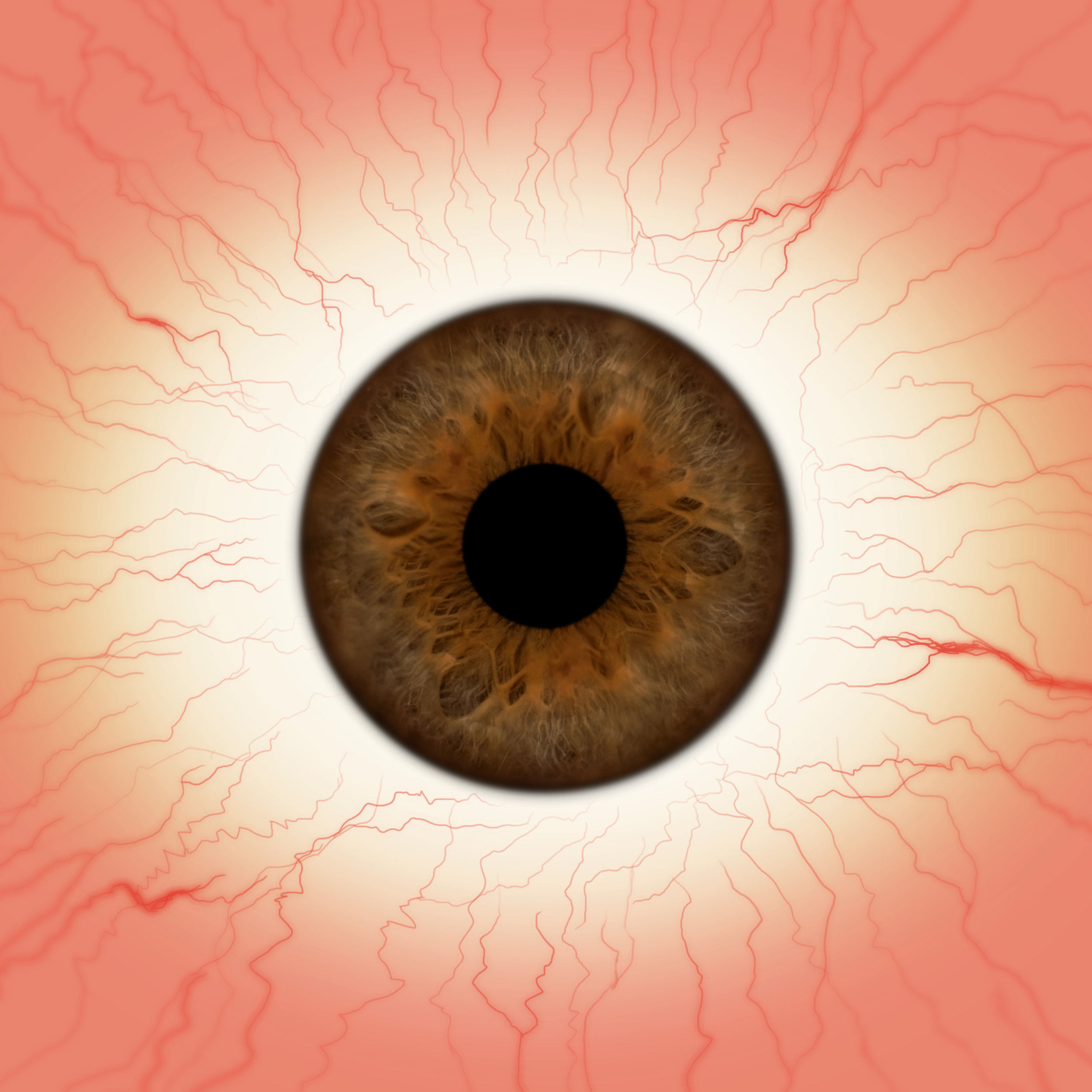 Soldier leather steering wheel cover Low-poly 3D model_11