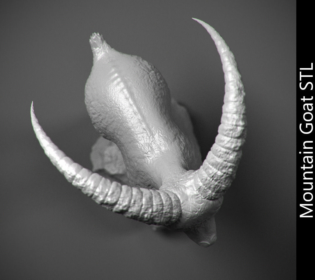 Mountain goat on the stone stl 3D print model_3