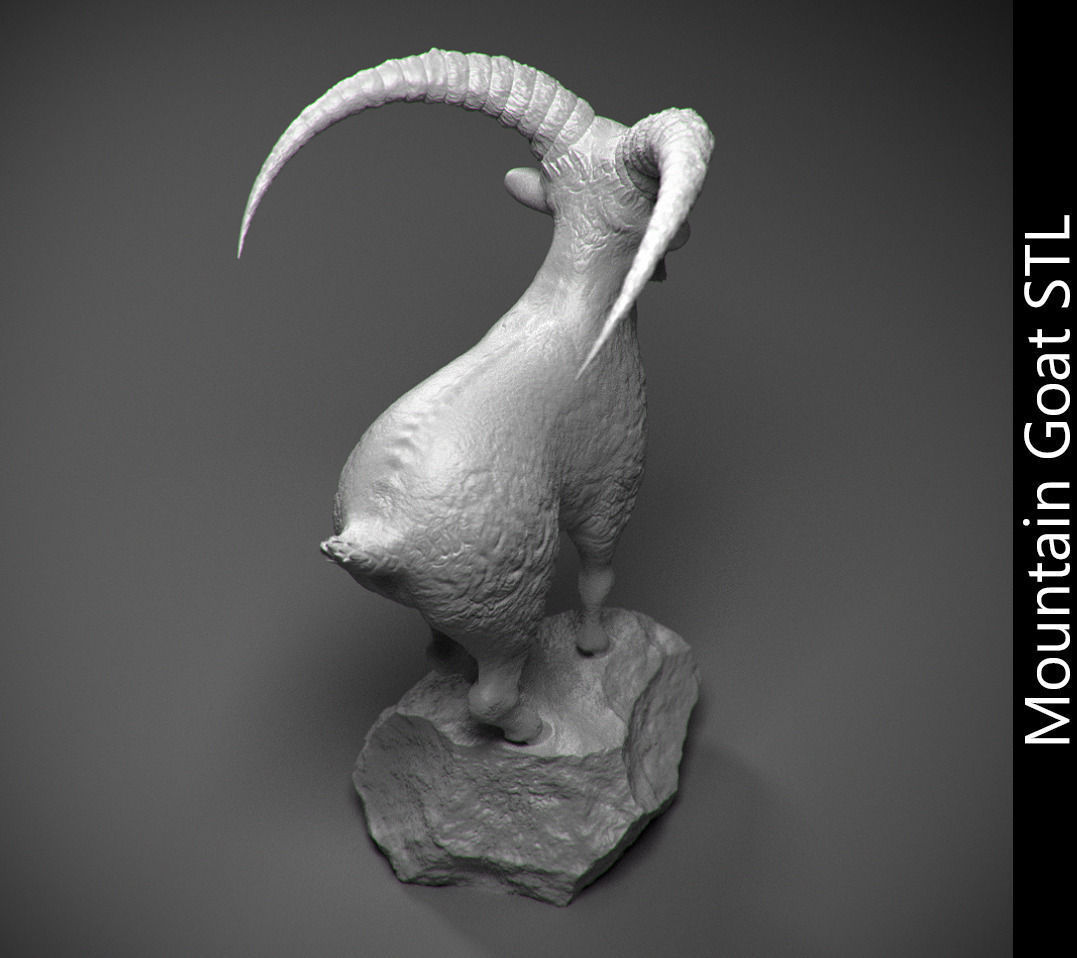 Mountain goat on the stone stl 3D print model_2