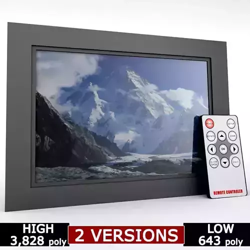 Digital picture frame with remote