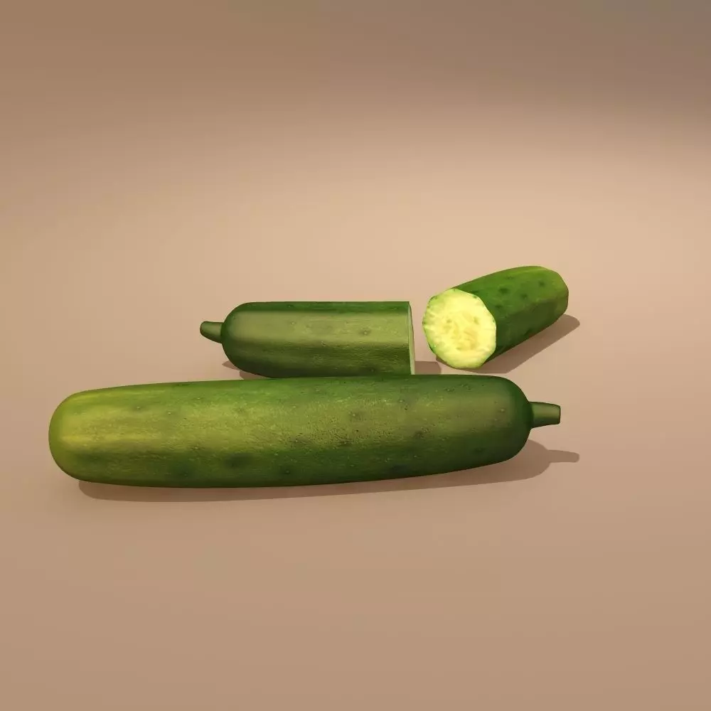 Cucumber - 3D model