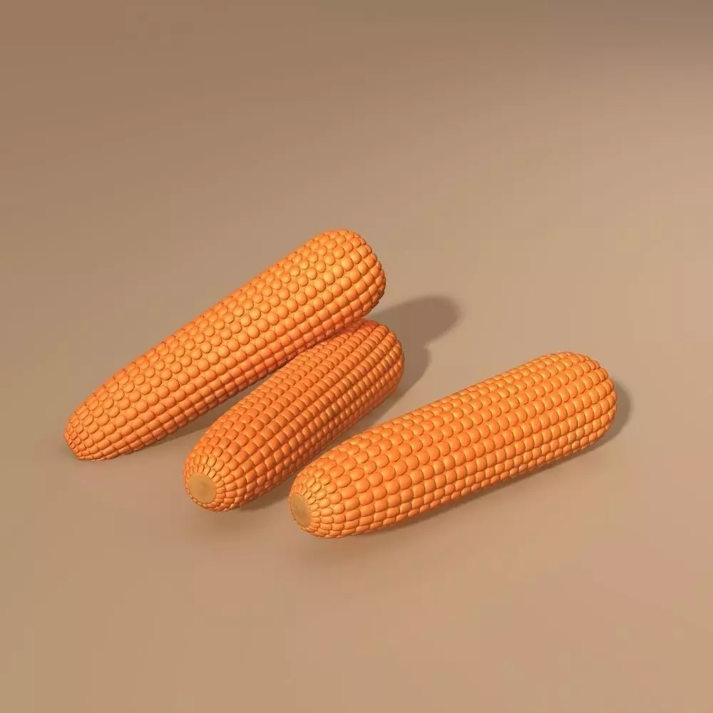 Corncobs corn 3D model