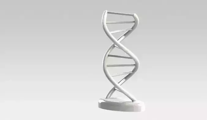 Dynamic DNA