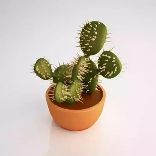 Cactus in pot with spikes