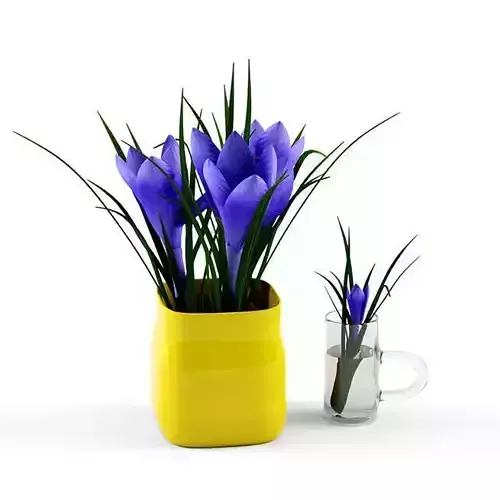 Crocus in vase 3D model