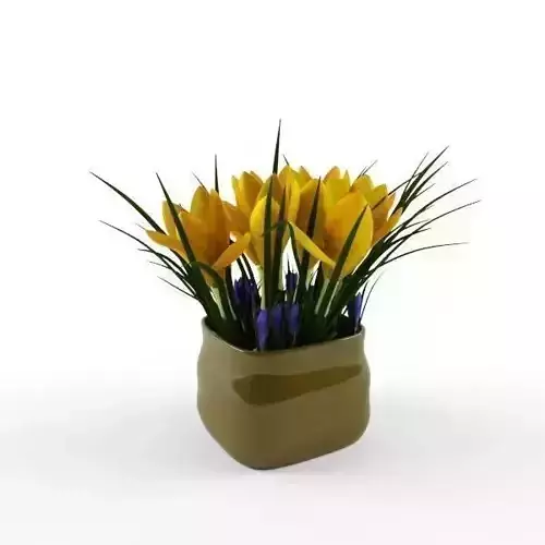 crocus yellow 3D model