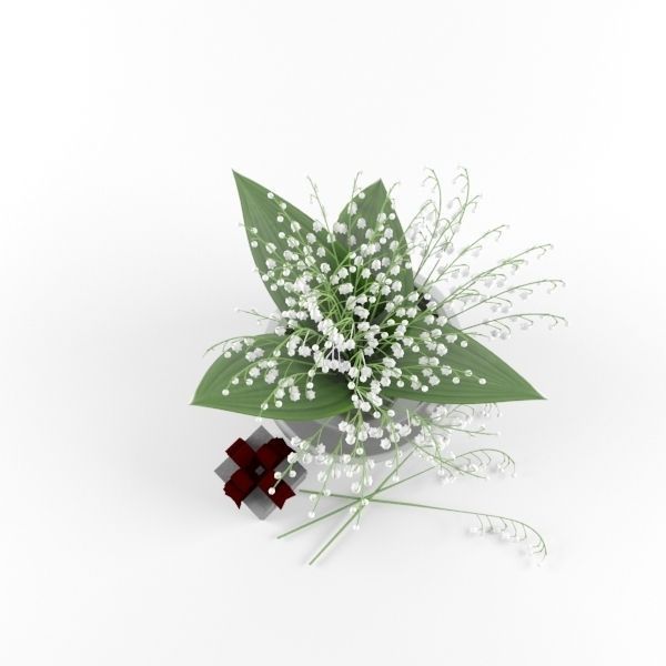 Lily of the valley 3D model_3