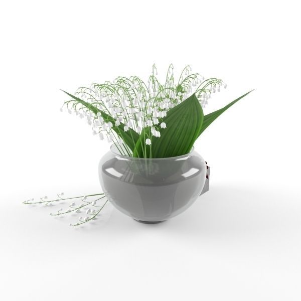 Lily of the valley 3D model_1