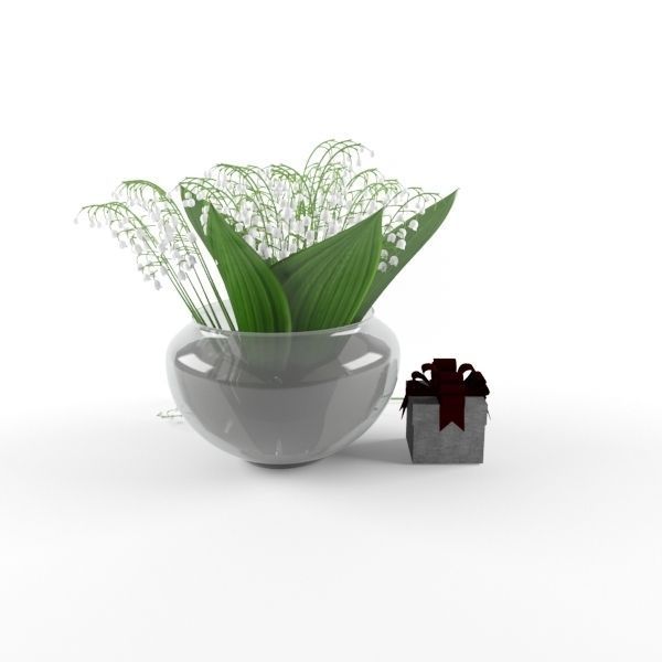 Lily of the valley 3D model_2