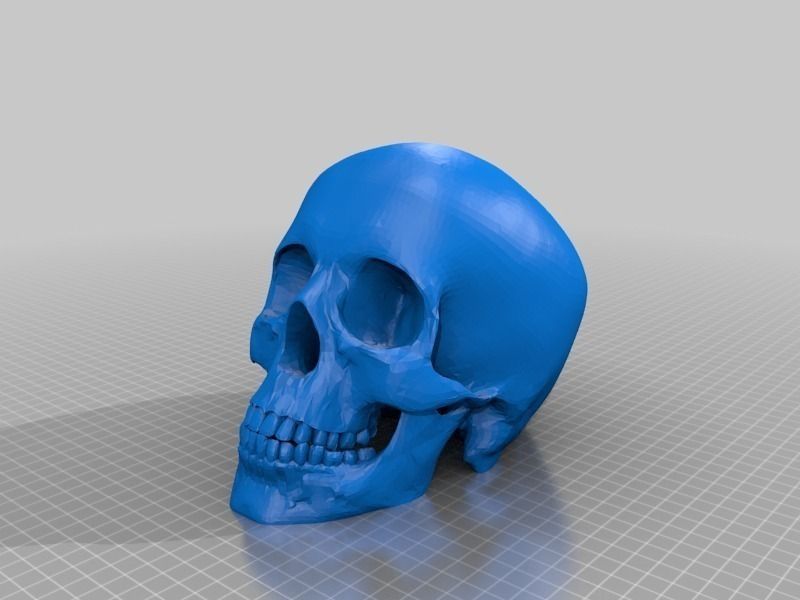 Simplified Human Skull Free 3D print model_1