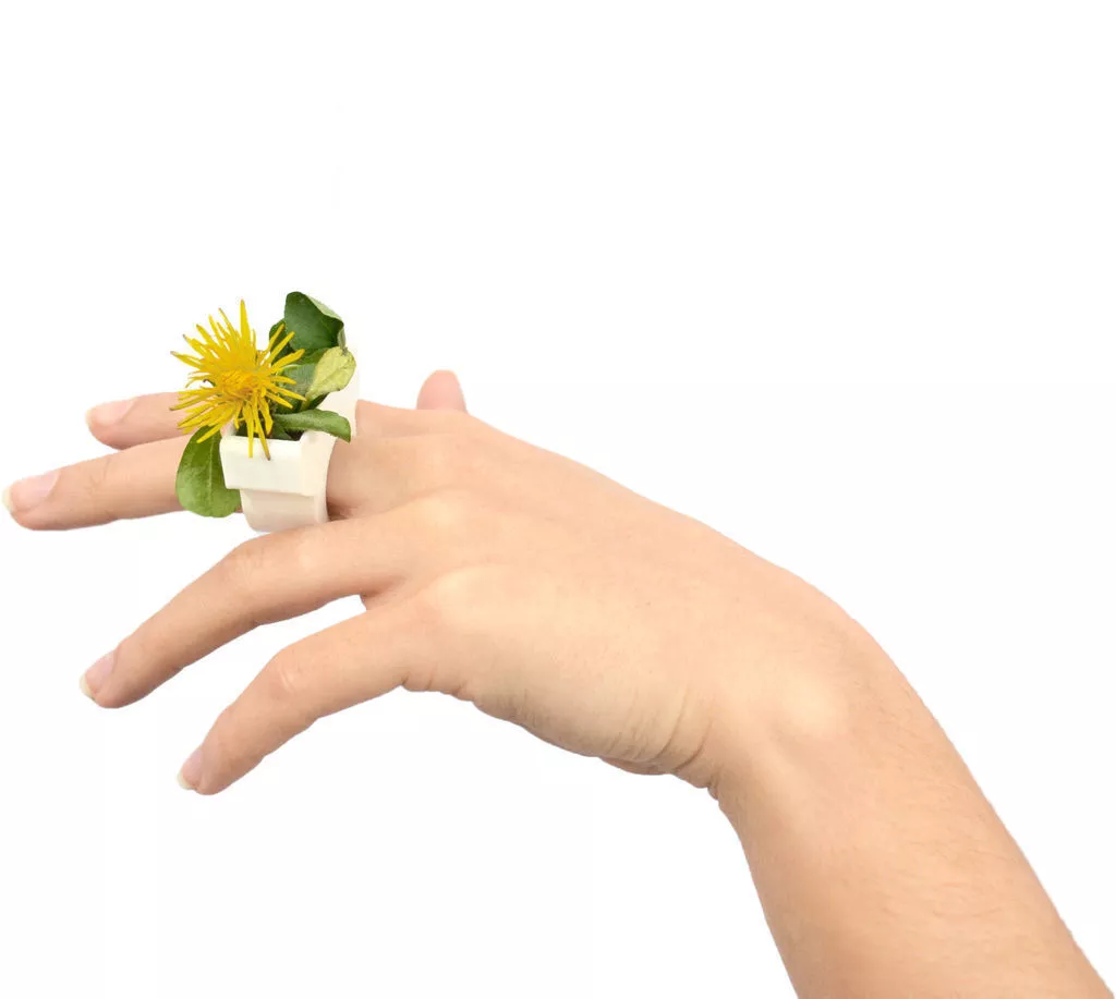 Grass Ring Free 3D print model