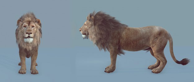 Lion realtime model Low-poly 3D model_1