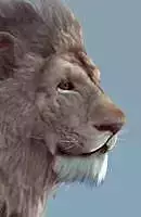 Lion realtime model Low-poly 3D model