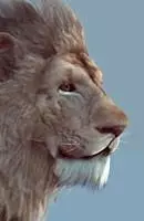 Lion realtime model Low-poly 3D model_0