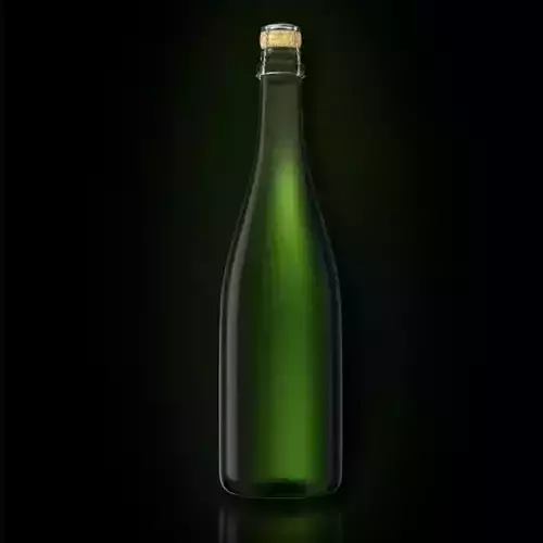 Bottle of Champagne 3D model