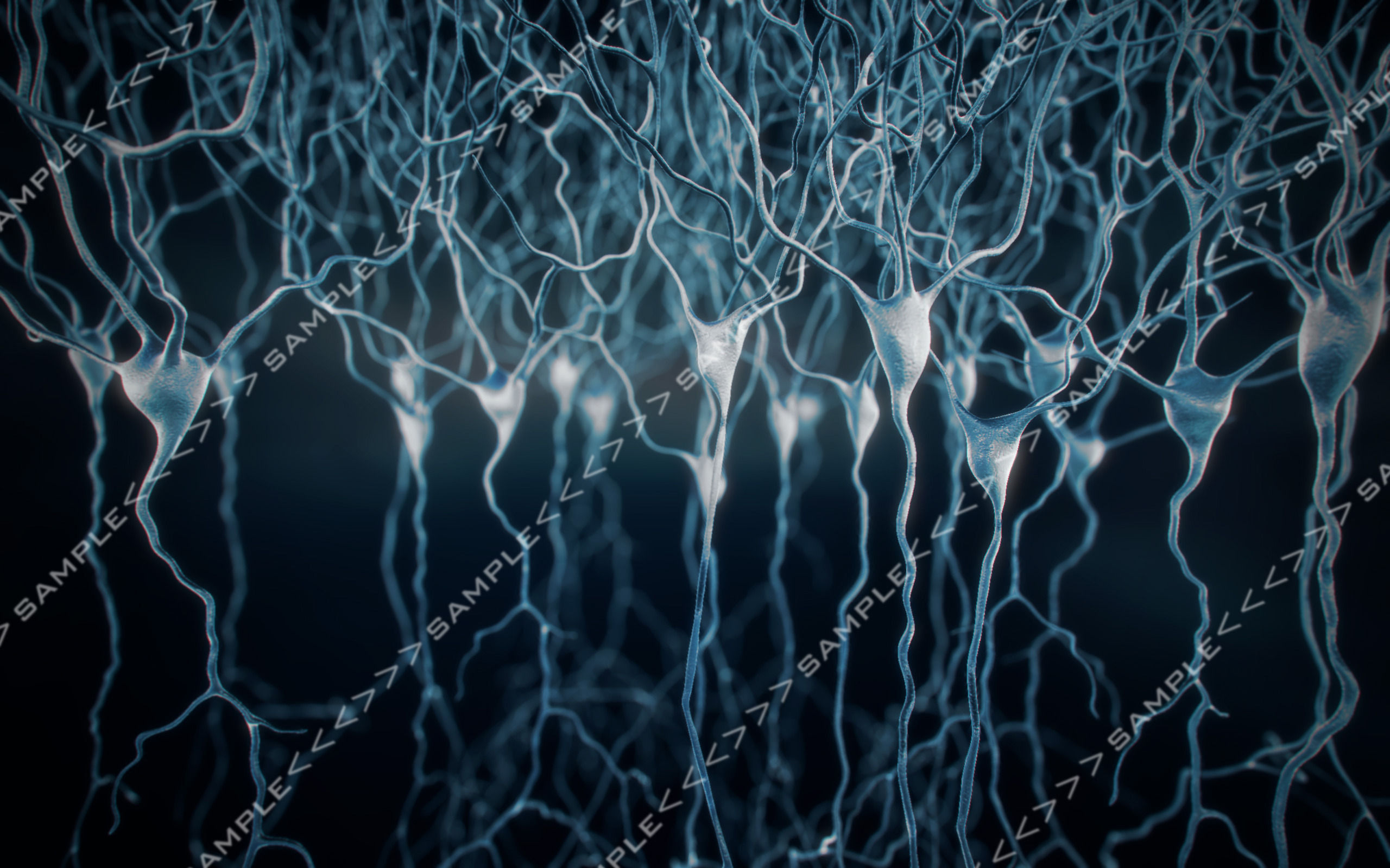 Neurons stock images 3D model_9