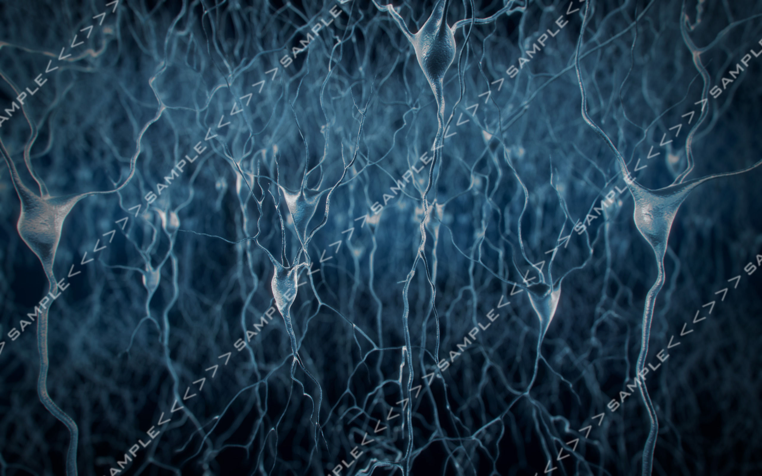 Neurons stock images 3D model_10