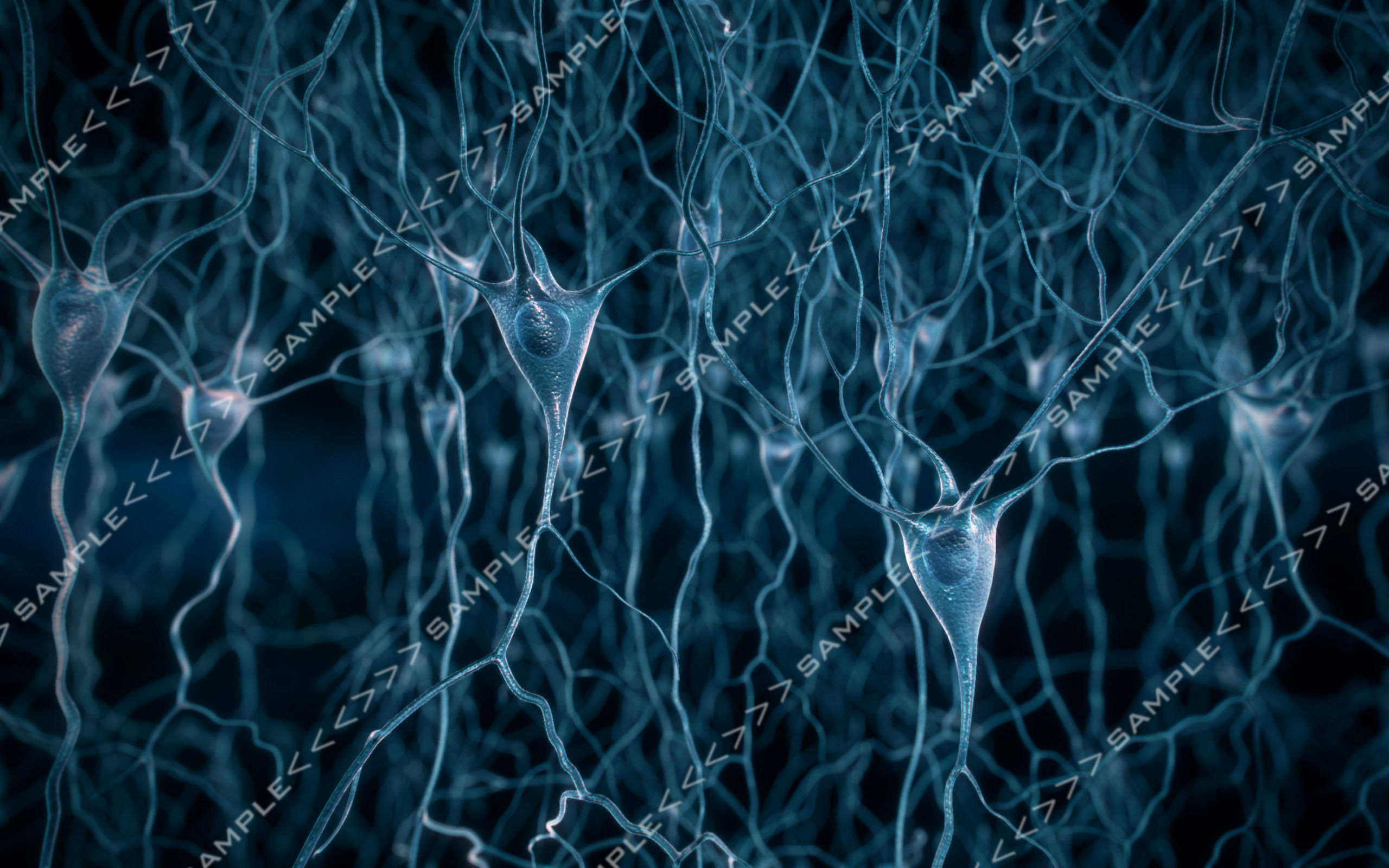 Neurons stock images 3D model_11