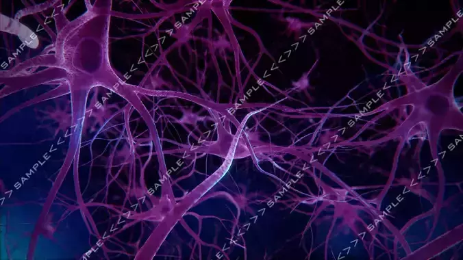 Neurons stock images 3D model