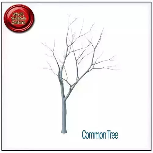 Common Tree STL Printable 3D print model