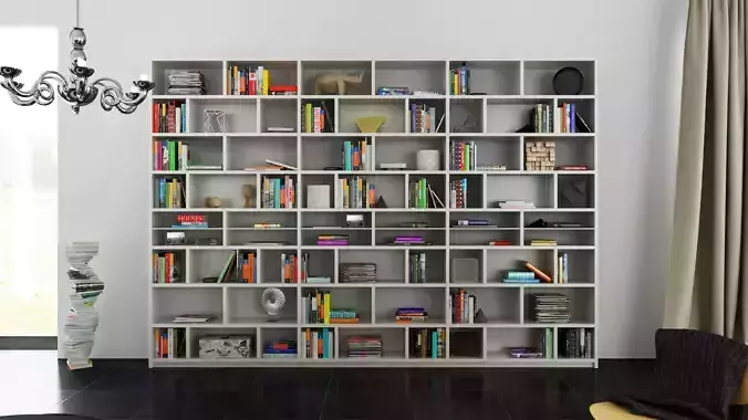 Molteni 505 3 with books 