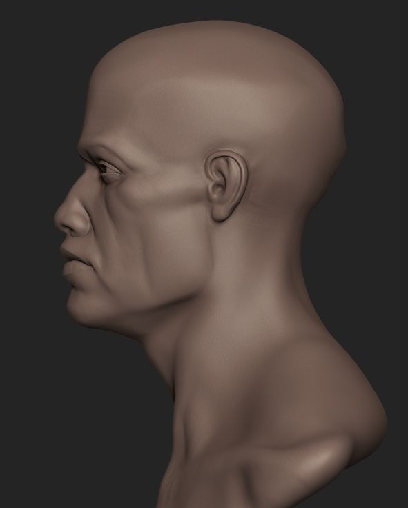 Human Stylized head bust base  3D model_2