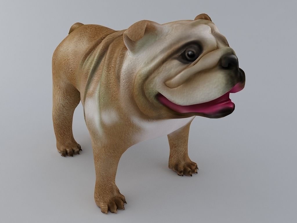 English Bulldog Textured 3D print model_2