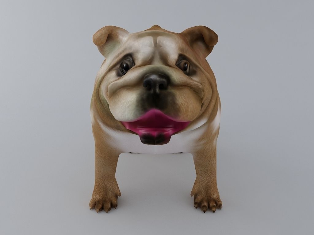 English Bulldog Textured 3D print model_1