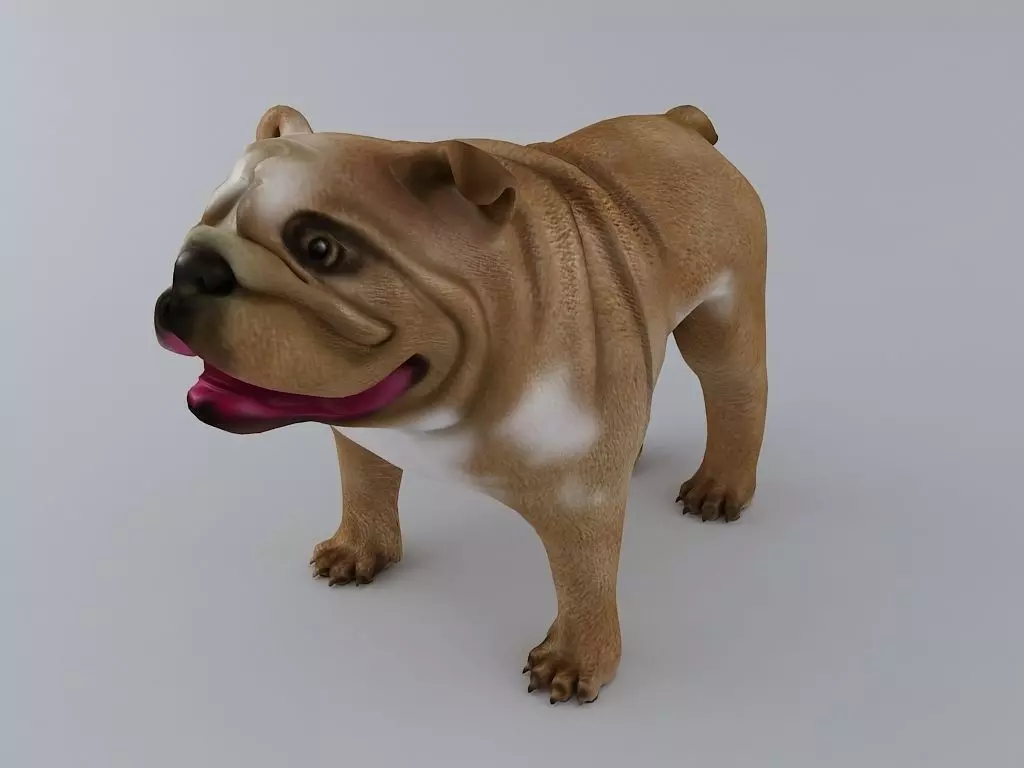 English Bulldog Textured 3D print model_0