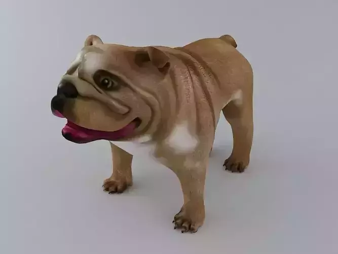 English Bulldog Textured