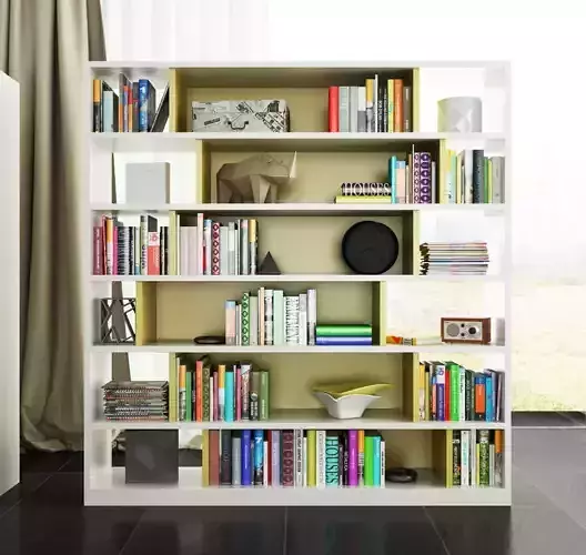 Molteni bookcase with shelves