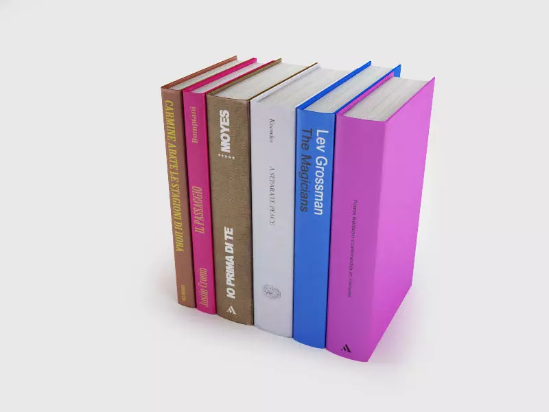 Back book only 3D model_0