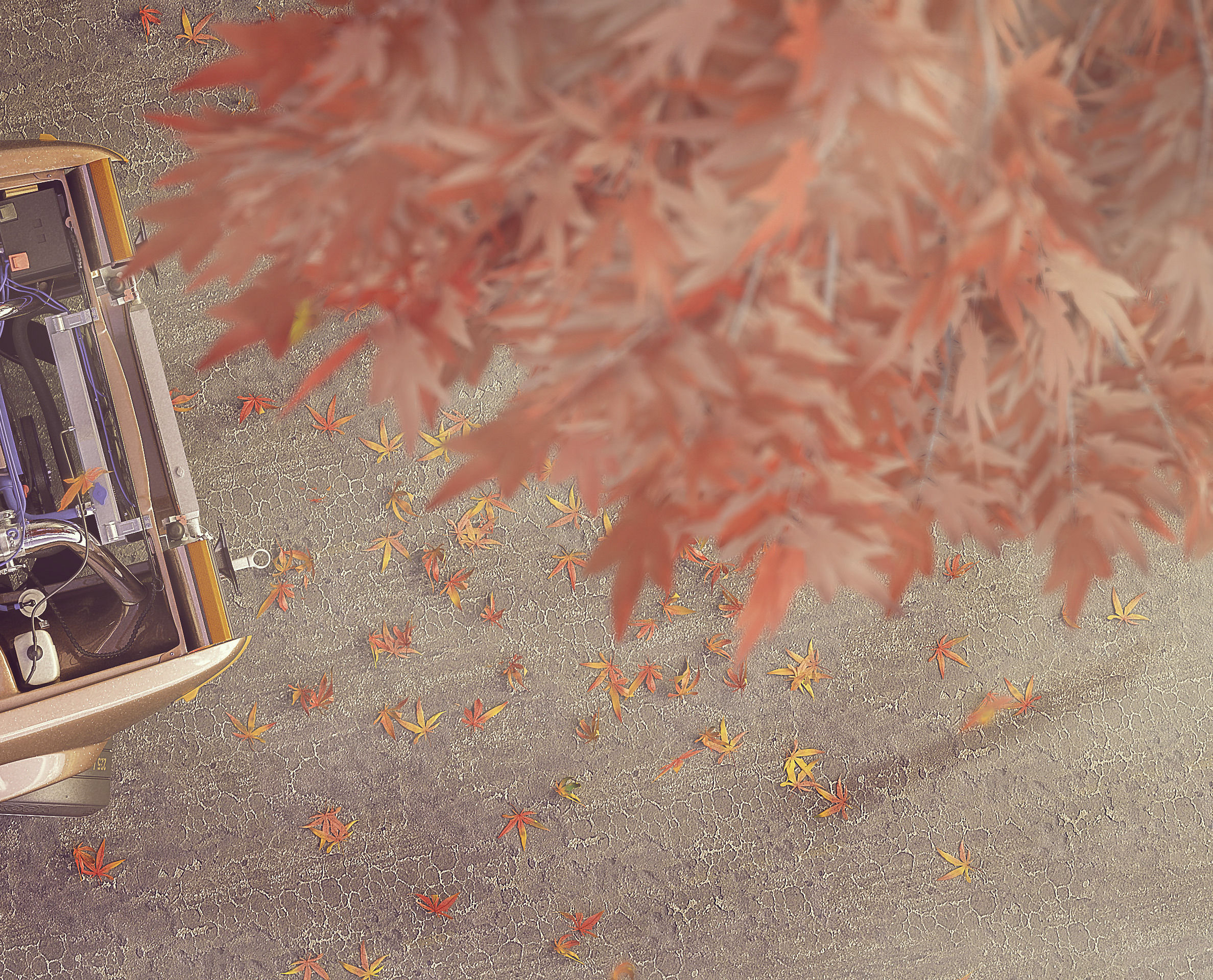 Red Maple leaves Free 3D model_7