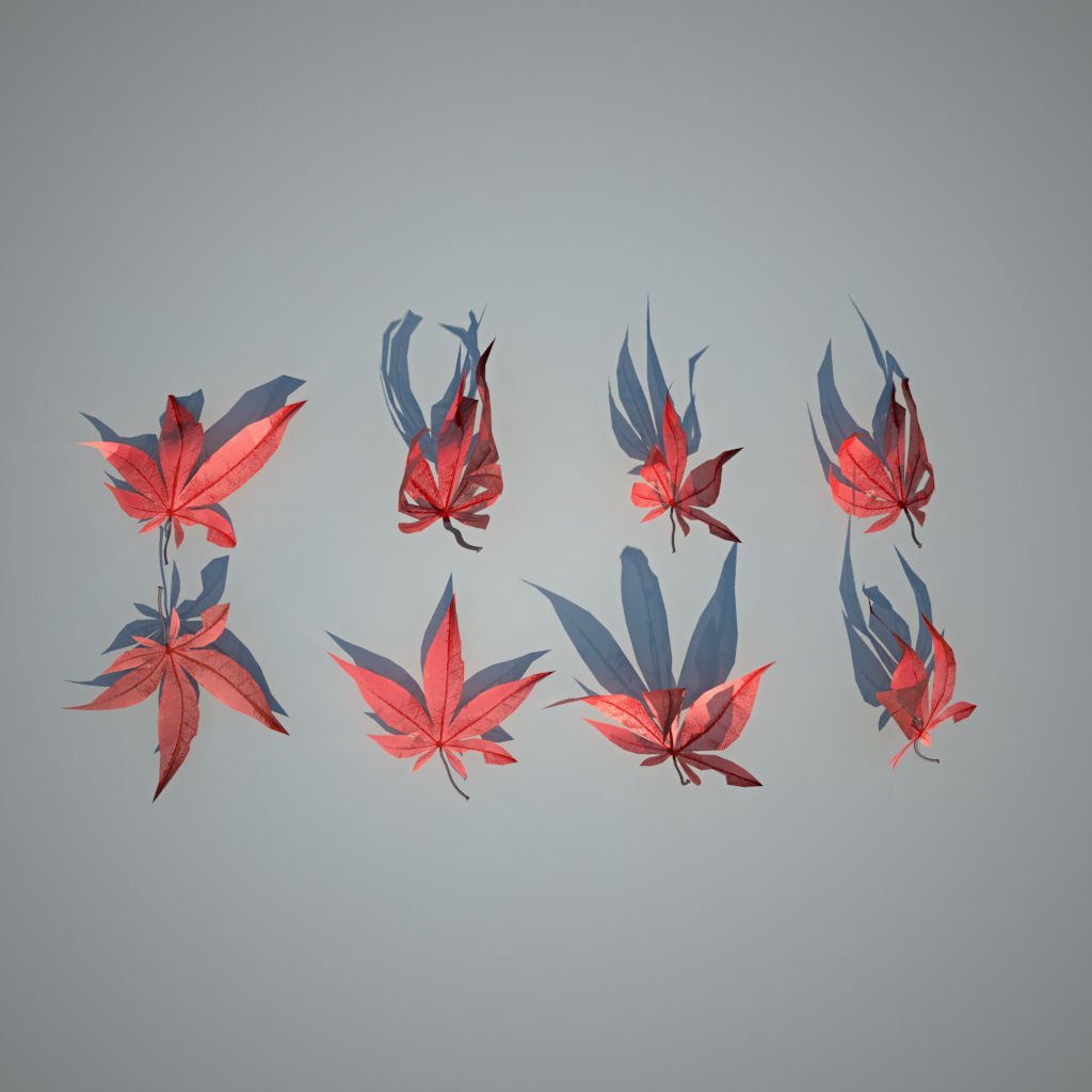 Red Maple leaves Free 3D model_1
