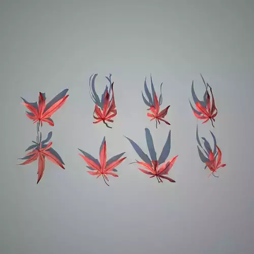 Red Maple leaves Free 3D model