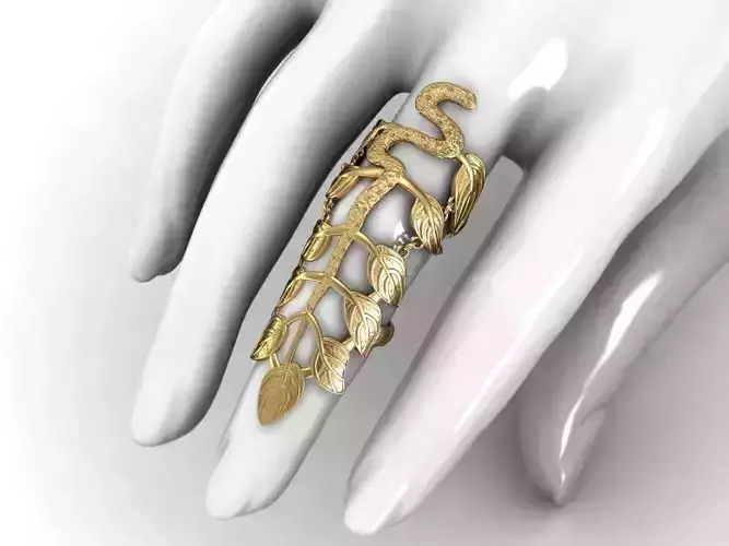 canival ring 3D print model