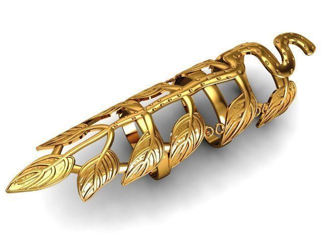 canival ring 3D print model_1