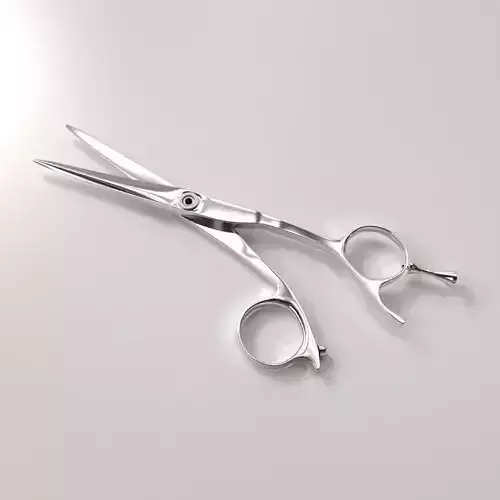 Hair Scissors 3D model