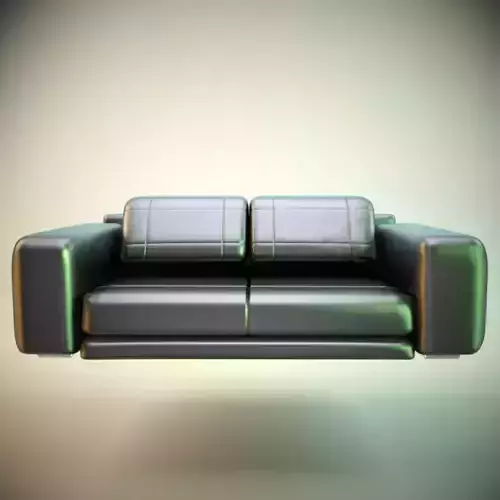 Black leather sofa
