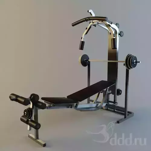 Gym Equipment