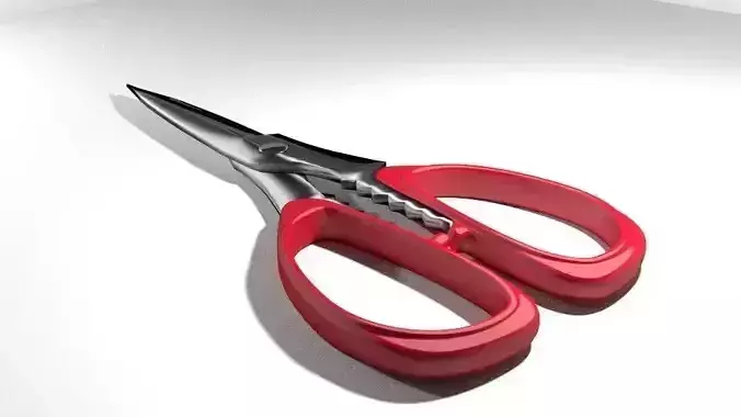 Scissor pair of scissors