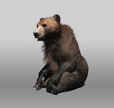 Grizzly Bear Low-poly 3D model_1