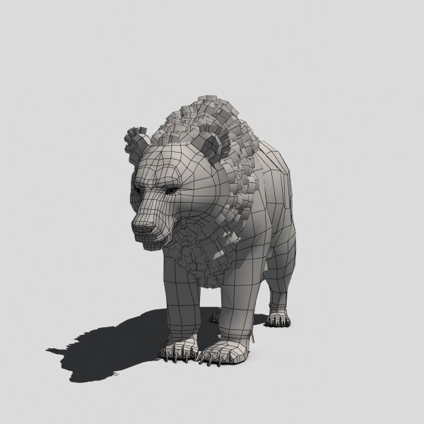 Grizzly Bear Low-poly 3D model_8