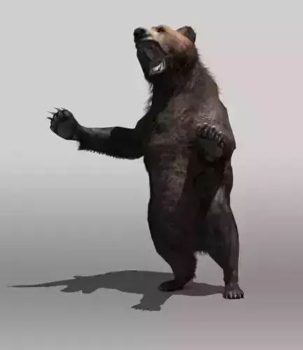 Grizzly Bear Low-poly 3D model