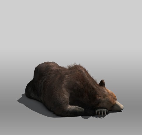 Grizzly Bear Low-poly 3D model_2