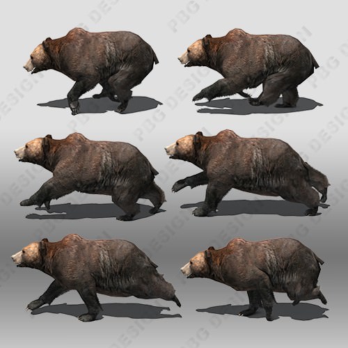 Grizzly Bear Animated Low-poly 3D model_3
