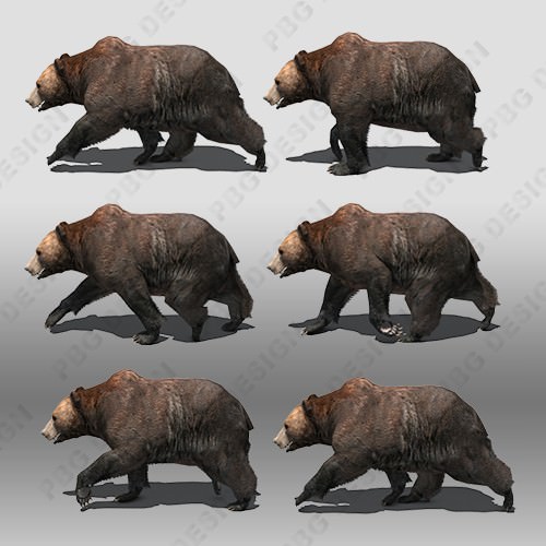 Grizzly Bear Animated Low-poly 3D model_5