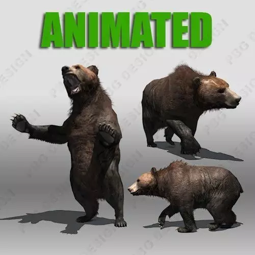 Grizzly Bear Animated Low-poly 3D model_0