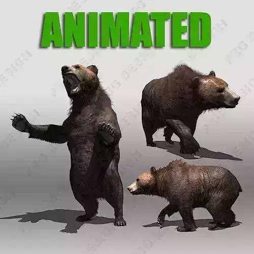 Grizzly Bear Animated Low-poly 3D model
