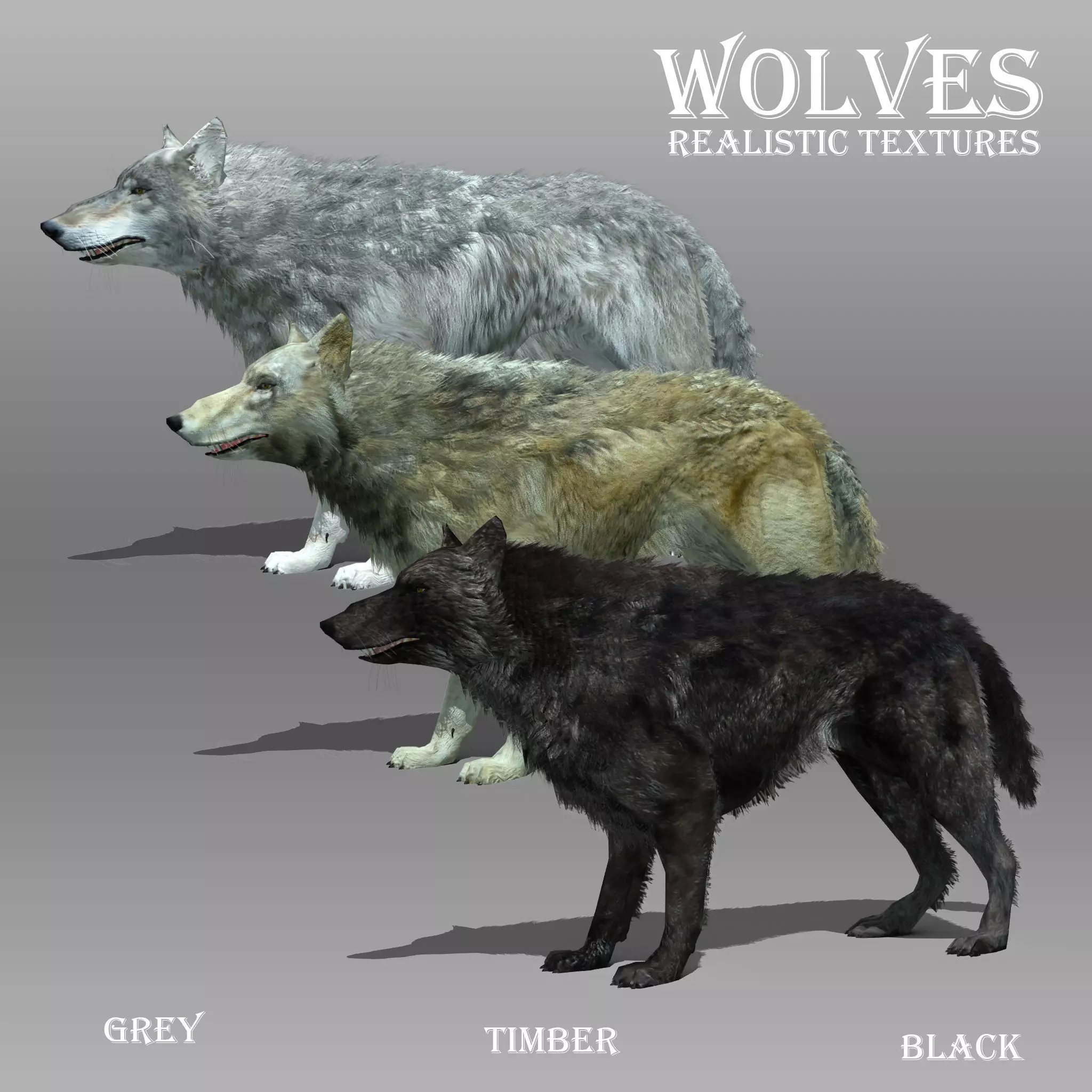 Wolf Animated Low-poly 3D model